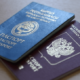 двойное гражданство Кыргызстана и России