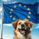 Ввоз животных в ЕС: основные требования в 2026 году