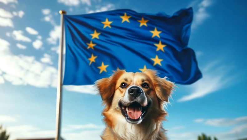 Ввоз животных в ЕС: основные требования в 2026 году